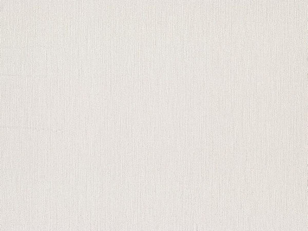 Шпалери вінілові на флізеліновій основі Слов'янські шпалери PRIMO Турін 2 9003-06 1,06x10,05 м 