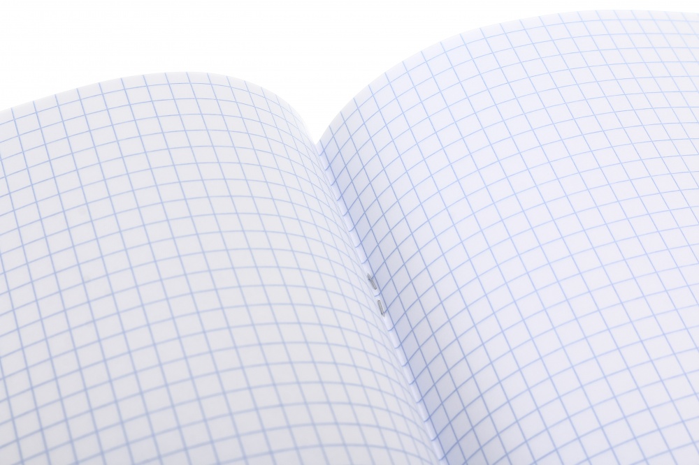 Тетрадь школьная Cats24 24 листа скоба клетка Nota Bene