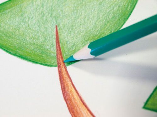 Набор карандашей цветные 24 шт. шестигранные Milan