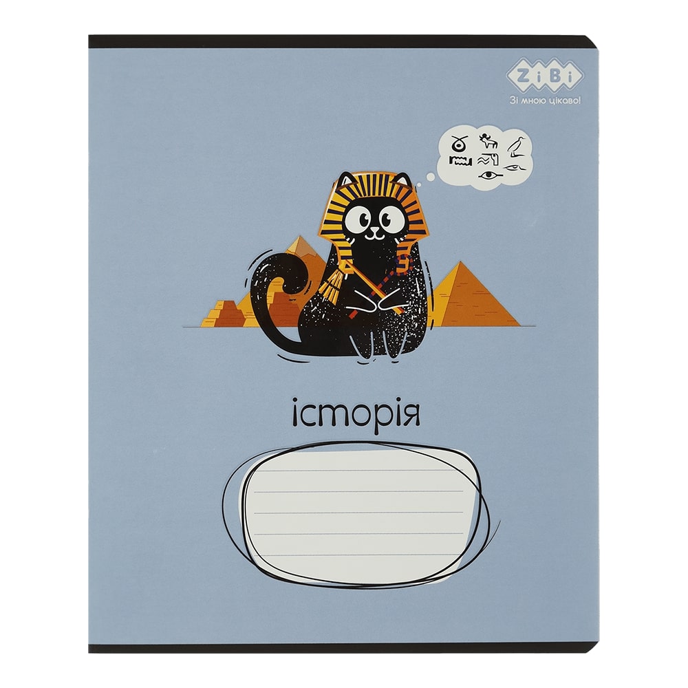 Тетрадь предметная CRAZY CAT 48 лист. клетка история KIDS LINE ZiBi