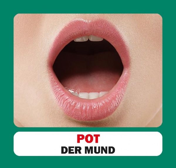 Книга «Навчальний посібник. Частини тіла. нім-укр»