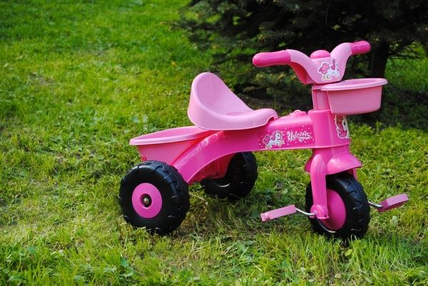 Велосипед детский Dolu Unicorn My First Trike Pink In Box розовый 2505