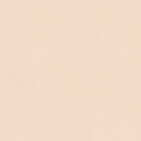 Шпалери RASCH Philomina 961911 