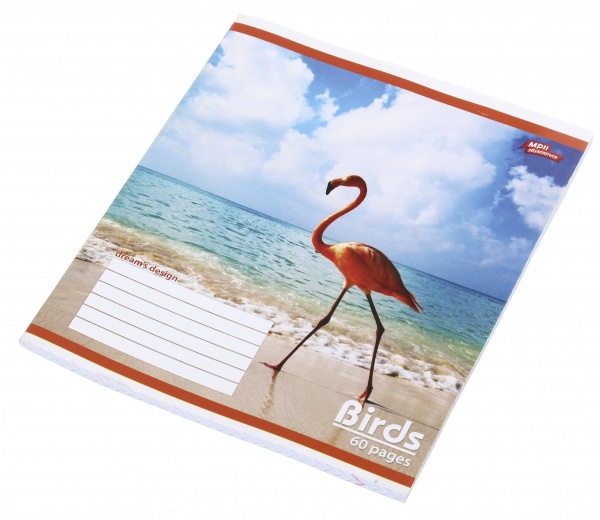 Зошит шкільний 60 аркушів у клітинку в асортименті Мрії збуваються