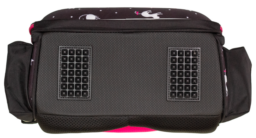 Ранец школьный CLASS Cats 38х29х16 см 2512C 13010118