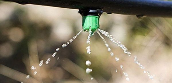 Набор Promaster для капельного полива 