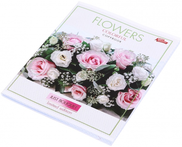 Зошит шкільний з глітером 96 аркушів у клітинку в асортименті Мрії збуваються