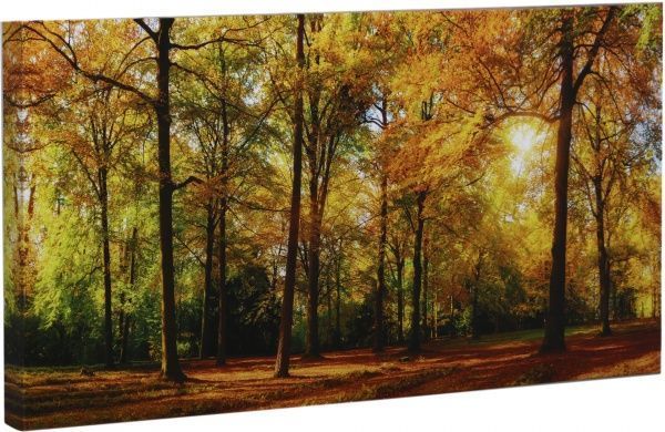 Репродукция Пейзаж Осенний лес 96x48 см 