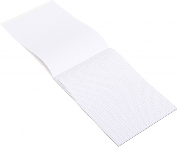 Блокнот 60 листов клетка А5(200х140) Бл-А5-60-ТК-КЛ Mandarin