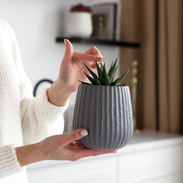 Кашпо керамическое МВМ DH-FLOWERS-25 S GRAY 13 см Серый 