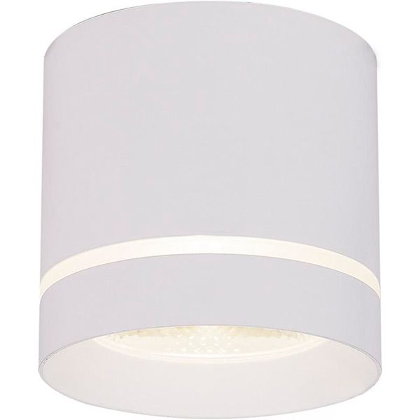 Светильник точечный LightMaster LLT102 COB 10 Вт 4000 К белый 