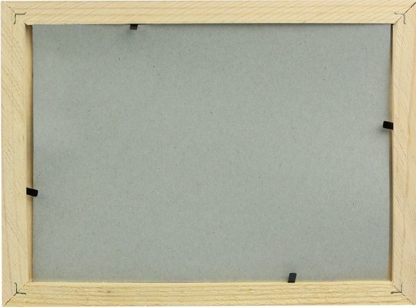 Набор для творчества Пластилиновый художник Рыбка Softik