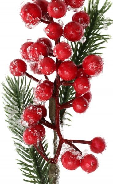 Гілочка декоративна пучок ягід з кристаликами 20 см RS1Z1864 