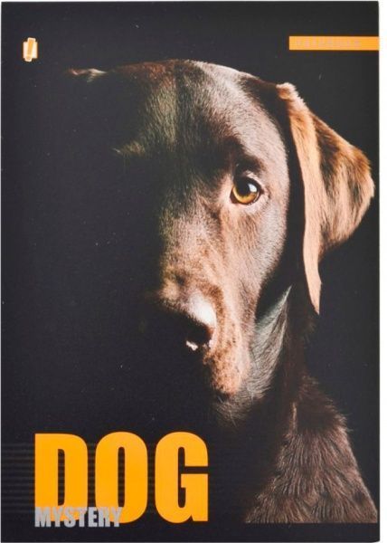 Книга для нотаток А5 60 YES