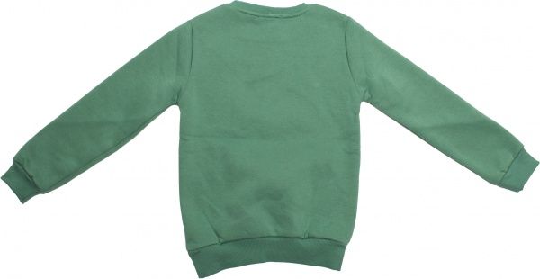 Свитшот ALG р.104 зеленый 721444 
