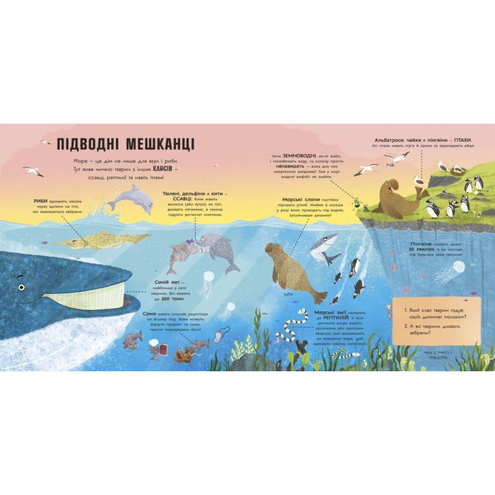 Книга Адам Фрост «Супернаука для дошкільнят: Акули люблять науку» 978-617-09-9345-8