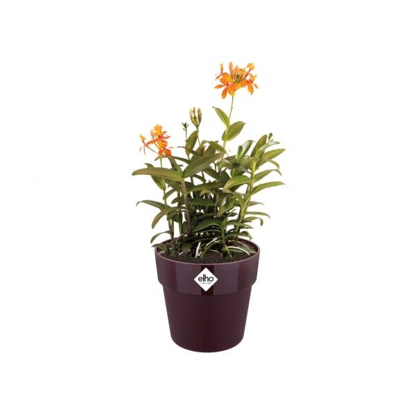 Вазон пластиковый Elho b.for original round 331511 круглый 13,1 л вишневый 