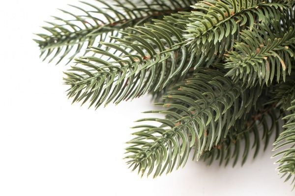 Гілочка декоративна хвойна лита №2-2 60 см 