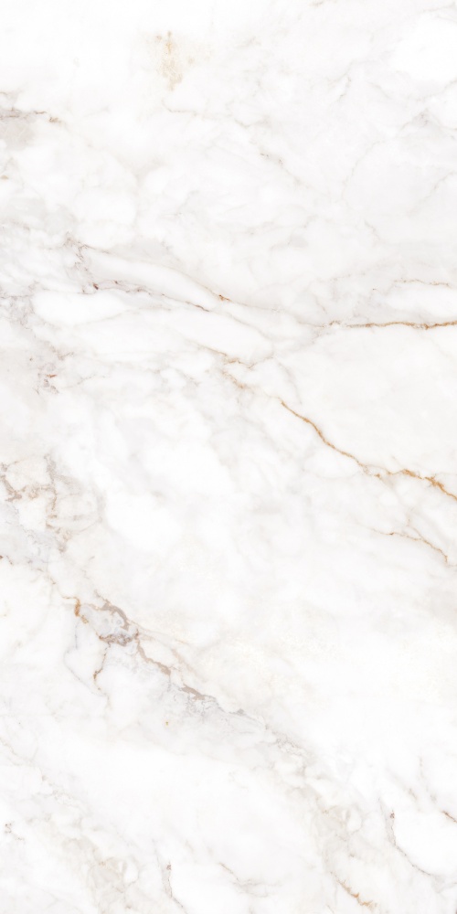 Плитка Allore Group Palazzo White F P R Satin 60x120 см