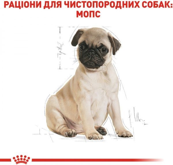 Корм Royal Canin для цуценят PUG PUPPY 1,5 кг