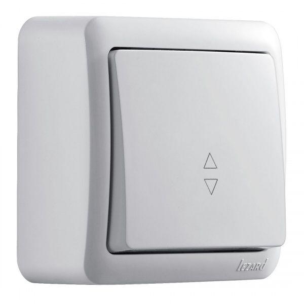 Выключатель одноклавишный Lezard Viola 16 А 250В белый 751-0200-105