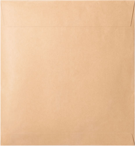 Щітка для пилососа Samsung VCA-WB650A/GL