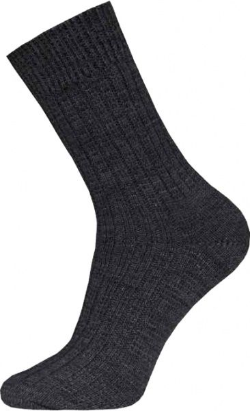 Шкарпетки БЧК ARCTIC 012 р. 25 чорний 