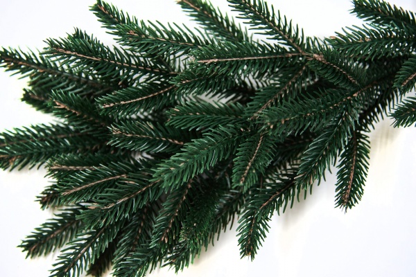 Гілочка декоративна хвойна 50 см 8869 