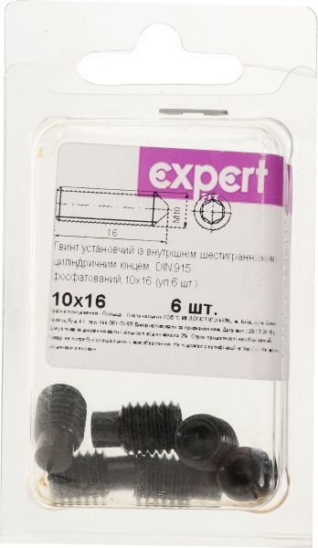 Гвинт інсталяційний метричний DIN 915 10x16 мм з внутрішнім шестигранником 6 шт. Expert Fix