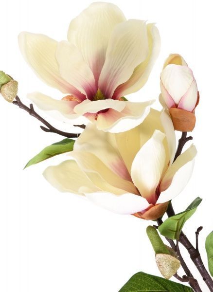 Квітка штучна Магнолія 3 квітки та 5 бутонів 71 см кремова
