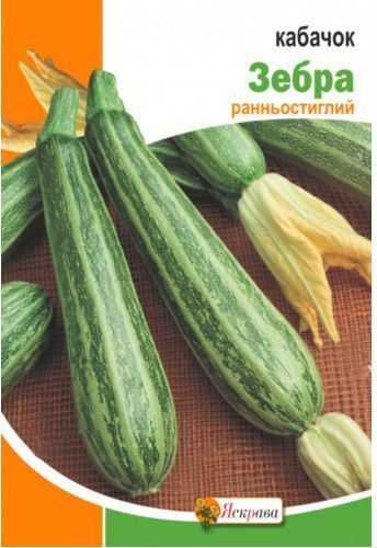 Семена Яскрава кабачок Зебра 20г