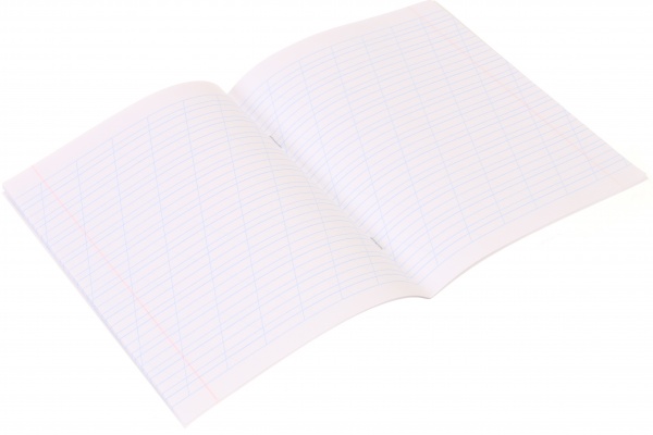 Тетрадь школьная Space скоба 12 листов косая линия Мечты сбываются