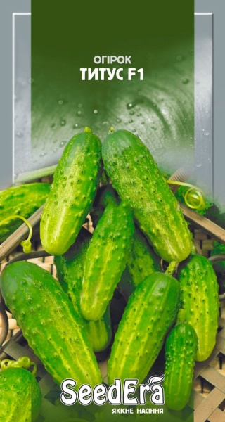 Семена Seedera огурец Титус F1 0,5г