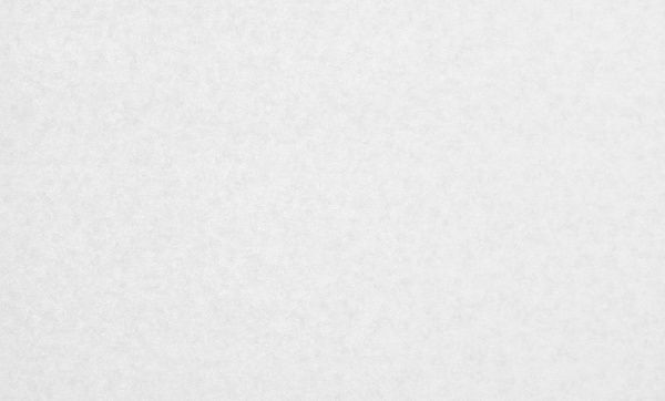 Шпалери вінілові на флізеліновій основі Bravo SIMPLE SP500-00 1,06x10,05 м 