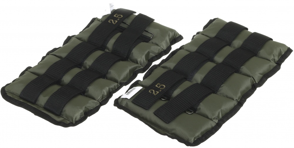 Утяжелители GF Champion 2x2,5 кг