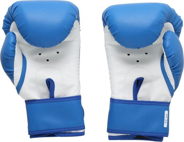 Боксерские перчатки SPORTKO 10oz голубой с белым