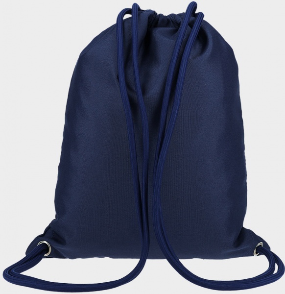 Сумка для обуви 4F 4FJRSS23AGYMM051-33S синий 