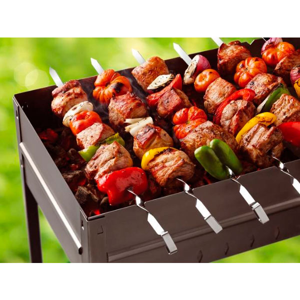 Мангал-дипломат Forester BC-791 воронований + 6 шампурів