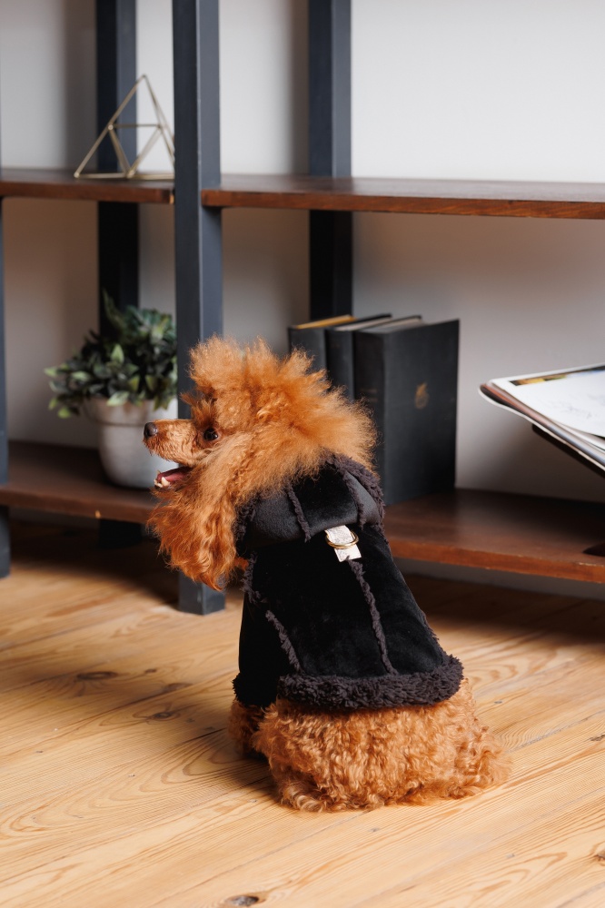 Дубленка Pet Fashion Black S