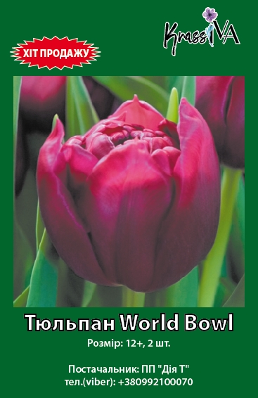 Цибулина KrassIVA тюльпан World Bowl 2 шт. 