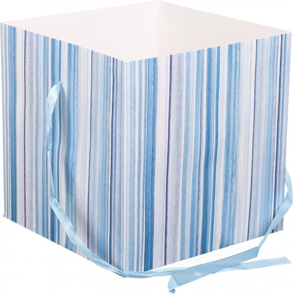 Коробка самозбірна EBXL9801 25х25 см