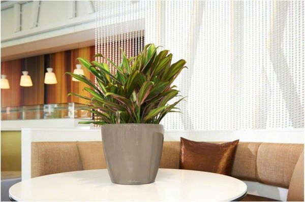 Вазон пластиковий Lechuza Classico Premium LS 35 круглий 39,1л коричневий (16065) 