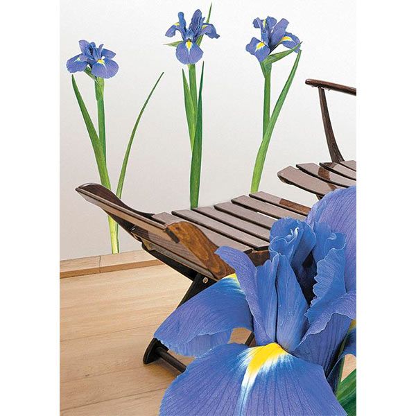 Декоративная наклейка Ирисы