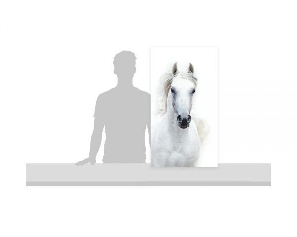 Репродукция Лошадь 50x90 см A_20_50X90 