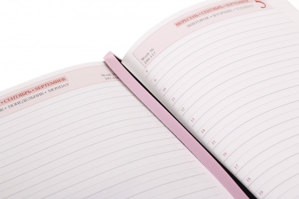 Щоденник датований Gabi Leo Planner A5 2023