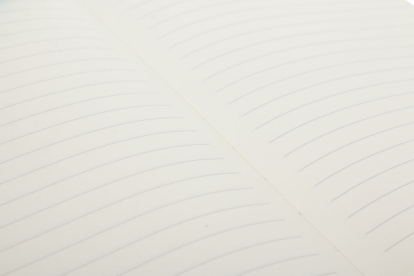 Книга для записей Бульдог в кепке А5 96 листов