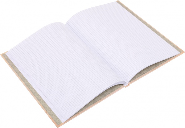 Книга учета Престиж А4 96 листов в ассортименте Аркуш