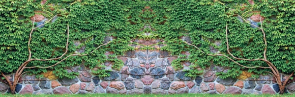 Фотосетка Плющ с камнем 300х100 см 