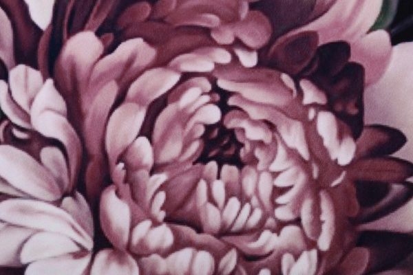 Штора Велюр Melina 200х275 см рожевий з принтом La Nuit