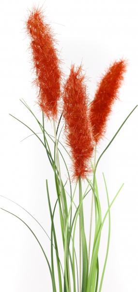 Веточка декоративная Камыш 40 см в ассортименте (Epi-TLY200309)